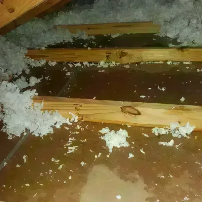 Attic Water Damage in Canyonville, OR