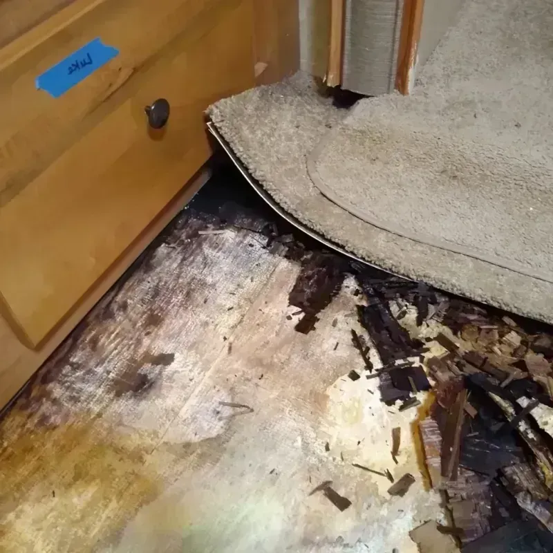 Wood Floor Water Damage in Canyonville, OR